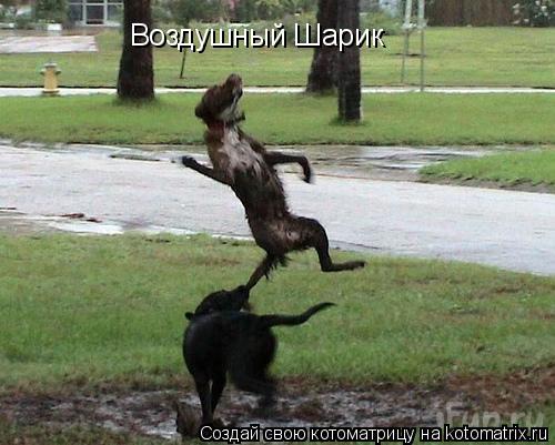 Воздушный Шарик