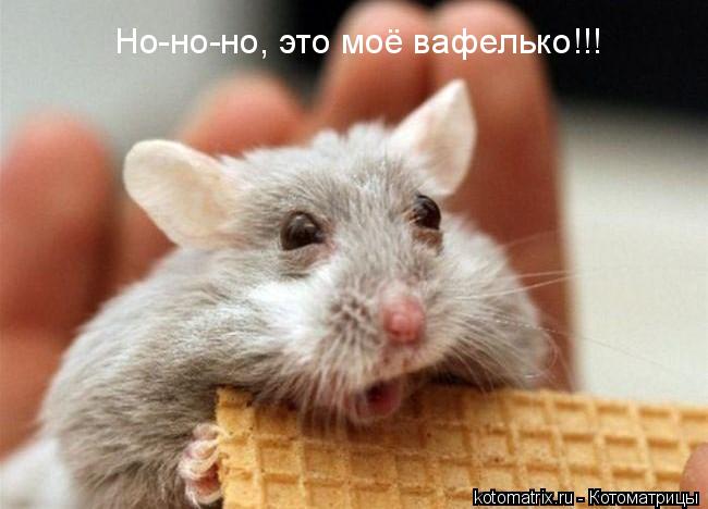 Вафельку не жалей